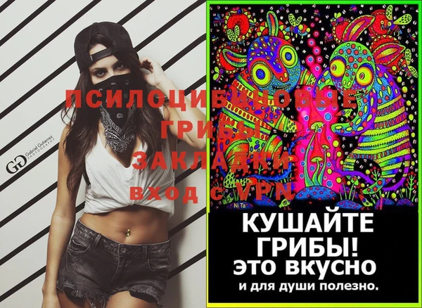 ешки Алексин
