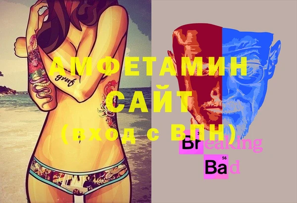 ешки Алексин