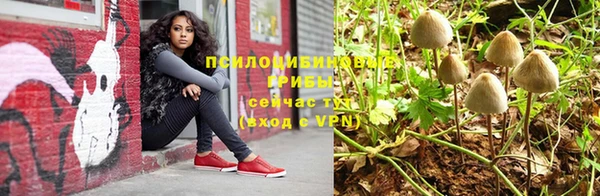 амфетамин Алексеевка