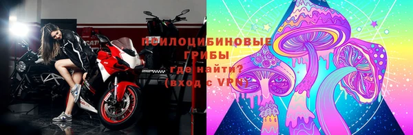ешки Алексин